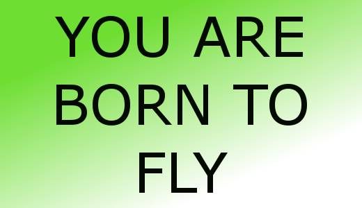 born to fly